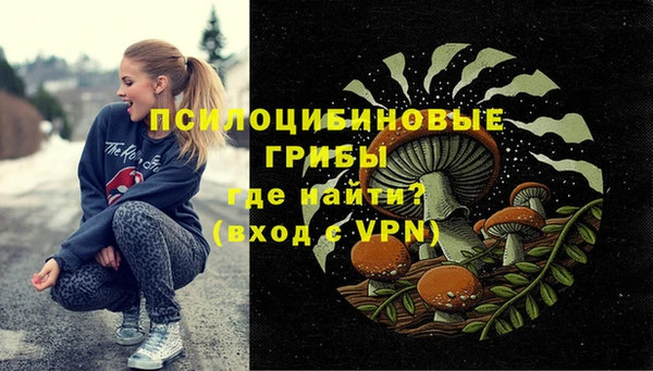 ПСИЛОЦИБИНОВЫЕ ГРИБЫ Нефтегорск