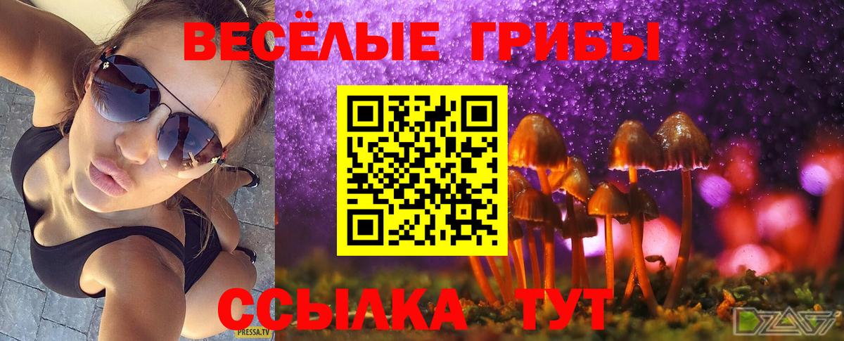 Кириши  Галлюциногенные грибы мицелий  Вход с VPN 